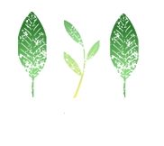 RMTH